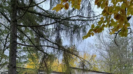 Hala na terenie wojskowym