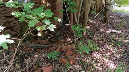 Oouszczone schronisko