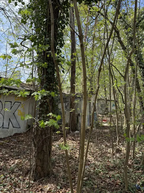 Opuszczone domki - zdjęcie 2/5