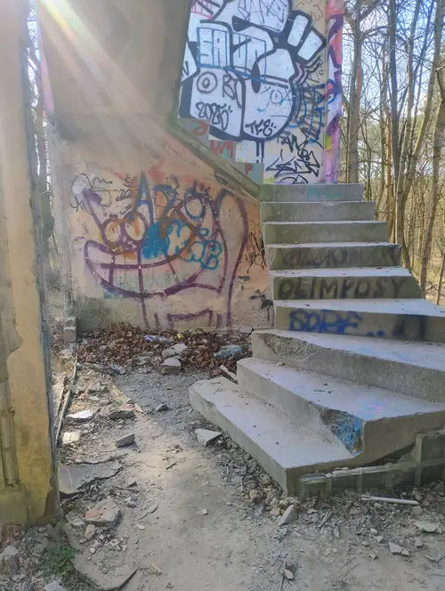 Zakład dla Nerwowo i Psychicznie Chorych Żydów - Zofiówka - photo 7/277