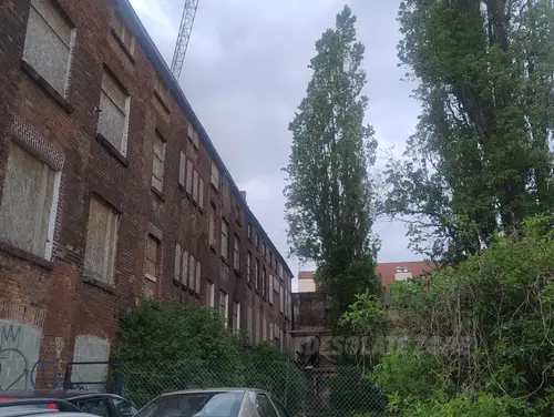 Opuszczone kamienice Wspornikowa - zdjęcie 5/5