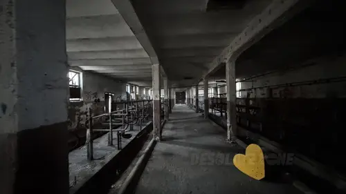 INSTYTUT HODOWLI BYDŁA, BRWINÓW - zdjęcie 5/31