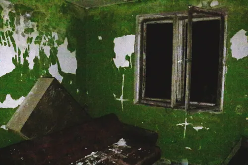 2 opuszczone domy w lesie