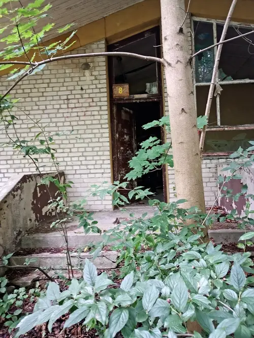 Kolonie w Justynowie, Justynów - zdjęcie 17/163