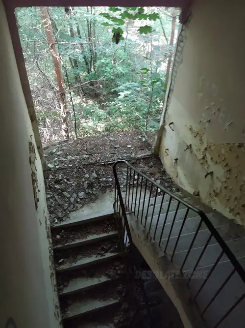 Kolonie w Justynowie, Justynów - photo 8/71