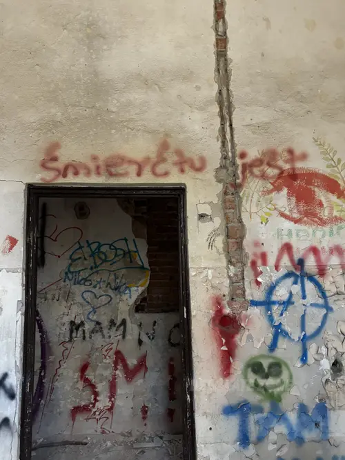 Zakład dla Nerwowo i Psychicznie Chorych Żydów - Zofiówka - zdjęcie 17/312