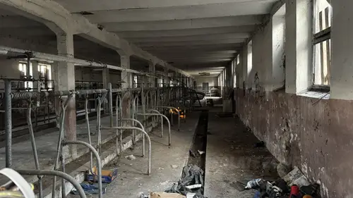 INSTYTUT HODOWLI BYDŁA, BRWINÓW - zdjęcie 2/31