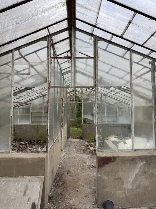 Opuszczone szklarnie - zdjęcie 3/7