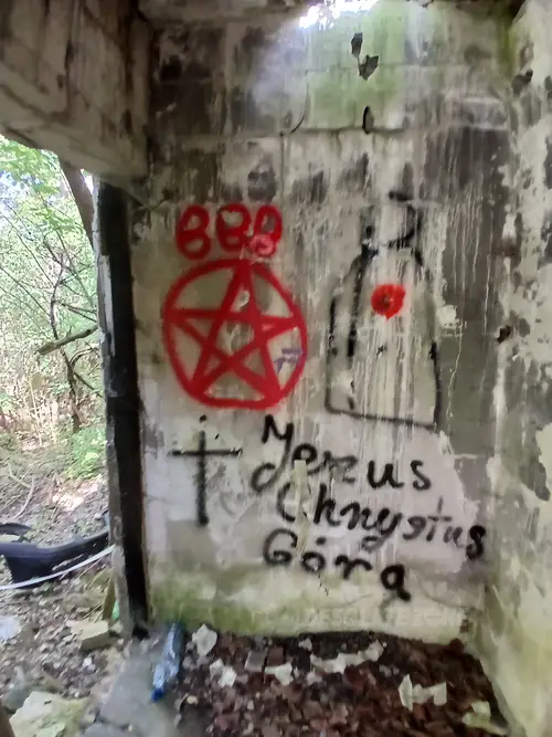 Pieczarkarnia i dom mieszkalny - photo 6/15