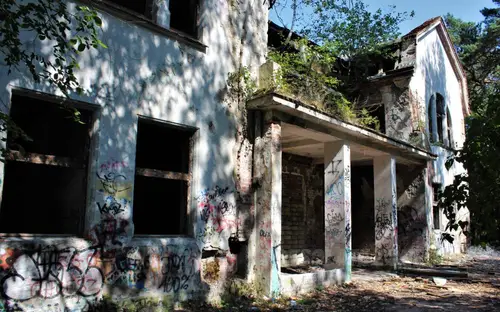 Zakład dla Nerwowo i Psychicznie Chorych Żydów - Zofiówka - photo 6/334