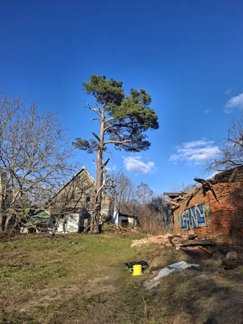 Opuszczone gospodarstwo - zdjęcie 1/15