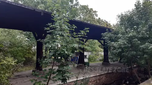 Opuszczona stacja Szczecin Pomorzany - zdjęcie 3/10