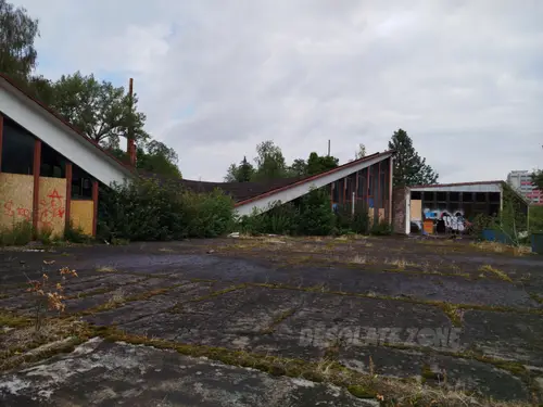 Hala Targowa na skraju Parku Śląskiego