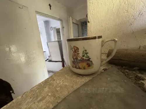 Opuszczone gospodarstwo - zdjęcie 12/27