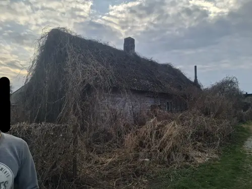 Opuszczony dom, Dzierdziówka