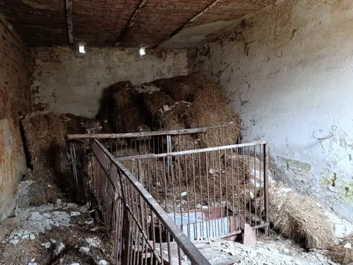 Opuszczone gospodarstwo - photo 6/12