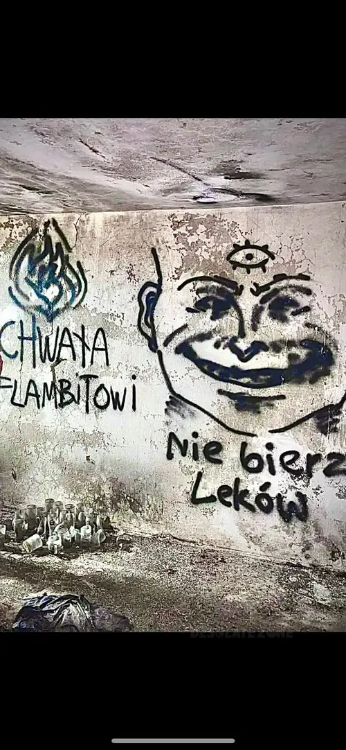 Porzucona budowa domu