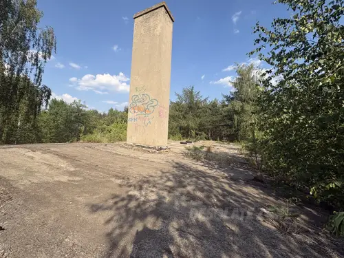Opuszczone kurniki / dawna ferma drobiu - zdjęcie 4/19