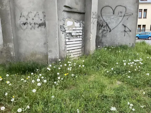 Opuszczona kamienica - photo 3/11