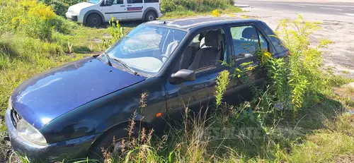Wrośnięte auto - photo 2/3