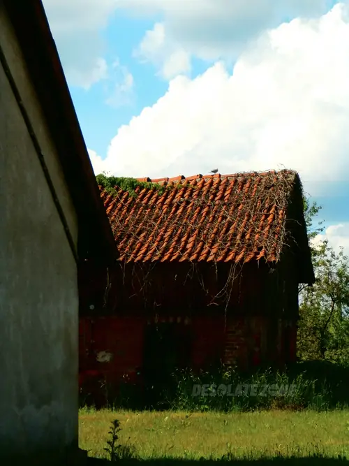 Opuszczony dom - zdjęcie 5/5