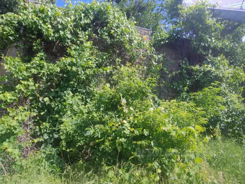 Opuszczona kamienica - photo 2/3
