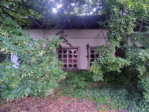 Opuszczony stadion - zdjęcie 8/16