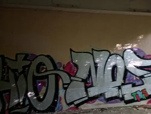 Kolonie w Justynowie, Justynów - zdjęcie 11/163