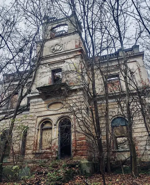 Ruiny pałacu w Stryjowie - photo 1/1