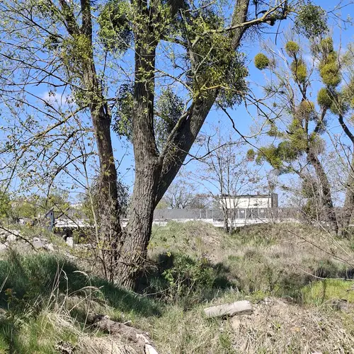 Opusczona fabryka tkanin Silwana, Gorzów wlkp. - photo 15/48