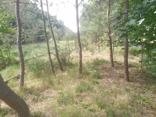 Opuszczona stacja kolejowa Tama Brodzka - photo 3/8
