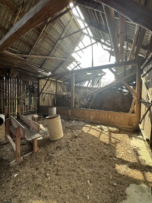 Opuszczone gospodarstwo - zdjęcie 10/27