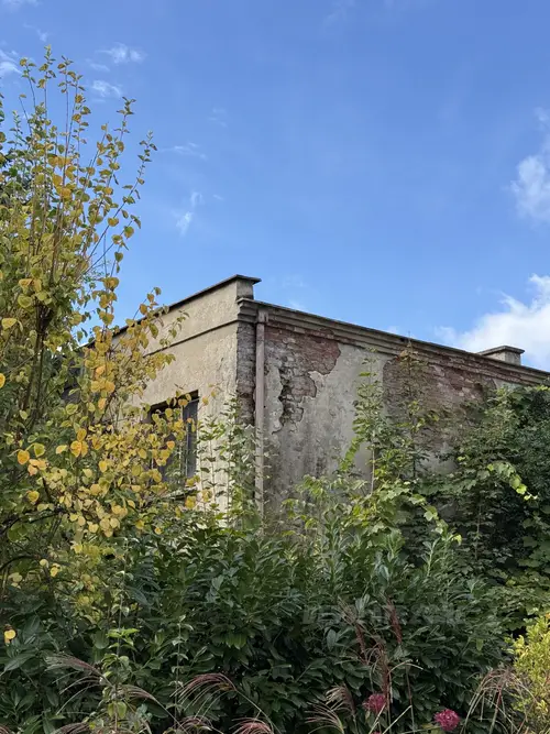 Opuszczony dom - zdjęcie 3/3