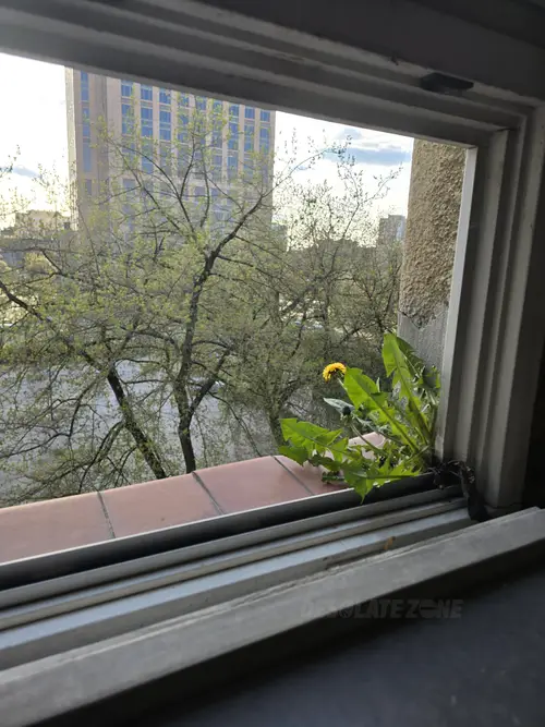 Duży blok mieszkalny, Warszawa