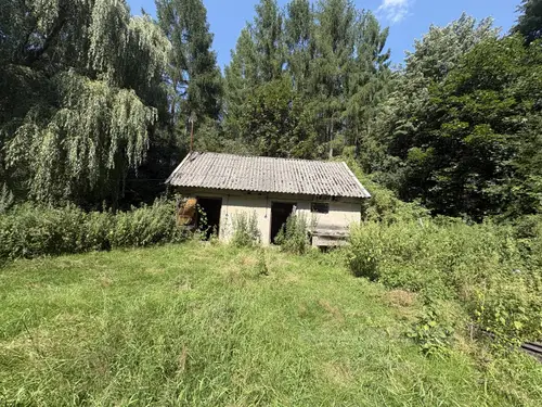 Opuszczona leśniczówka - zdjęcie 5/23