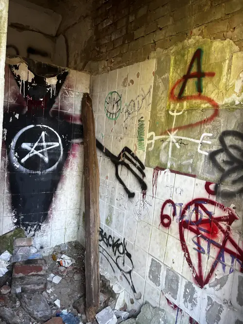 Zakład dla Nerwowo i Psychicznie Chorych Żydów - Zofiówka - zdjęcie 21/312