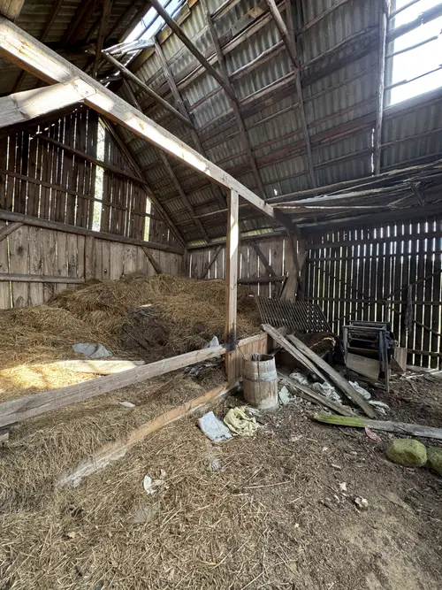 Opuszczone gospodarstwo - zdjęcie 9/27