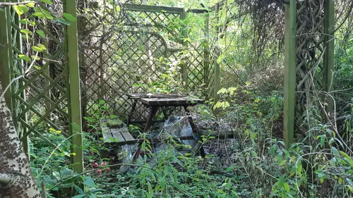 Opuszczone kąpielisko miejskie - photo 22/46