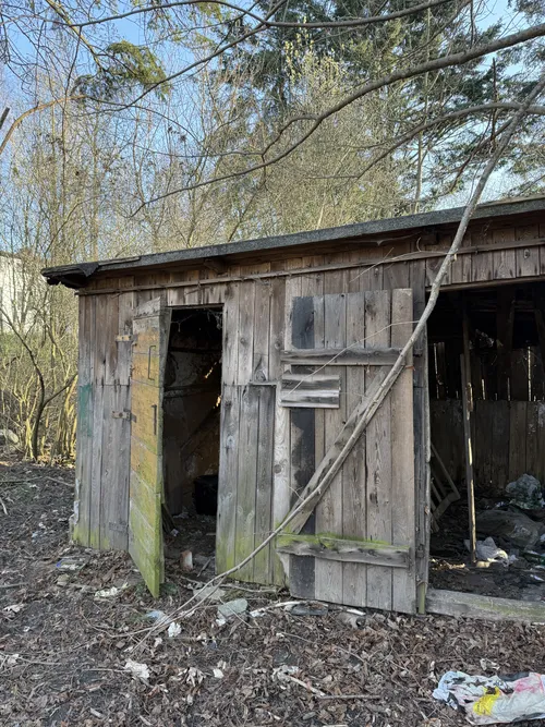 Opuszczony dom - zdjęcie 8/9