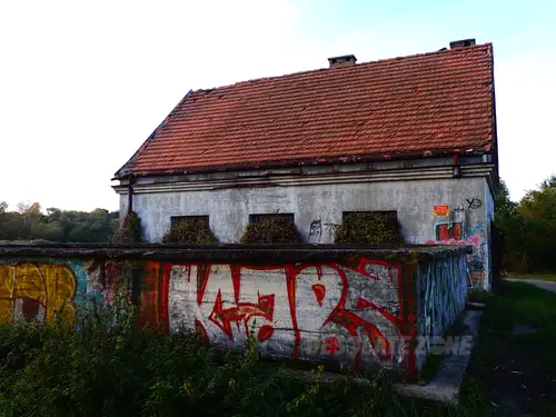 Zarośnięty dom - zdjęcie 4/7