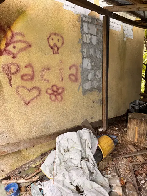 Prawdopodobnie opuszczony dom z garażem i letniówką - zdjęcie 8/8