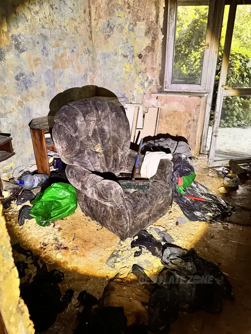Mocno zarośnięty dom przy drodze - zdjęcie 4/28