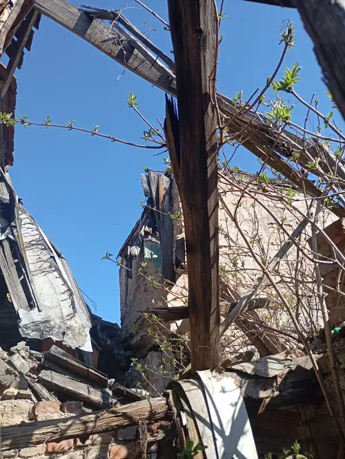 Opuszczony dom z lekko zawalonym dachem - photo 6/9