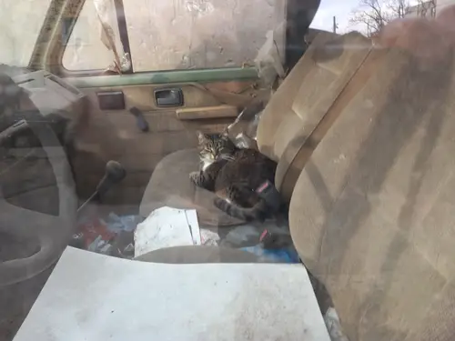 Opuszczone samochód wojskowa - zdjęcie 1/4