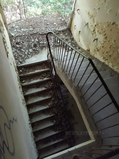 Kolonie w Justynowie, Justynów - photo 9/71