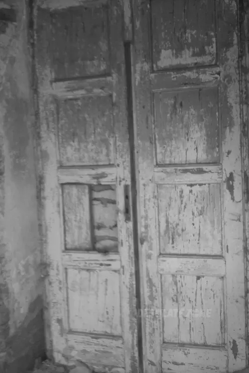 Tor wyścigów konnych, Łódź - photo 4/197