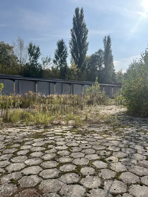 Pustostan po dawnej firmie budowlanej FachBud - zdjęcie 5/58