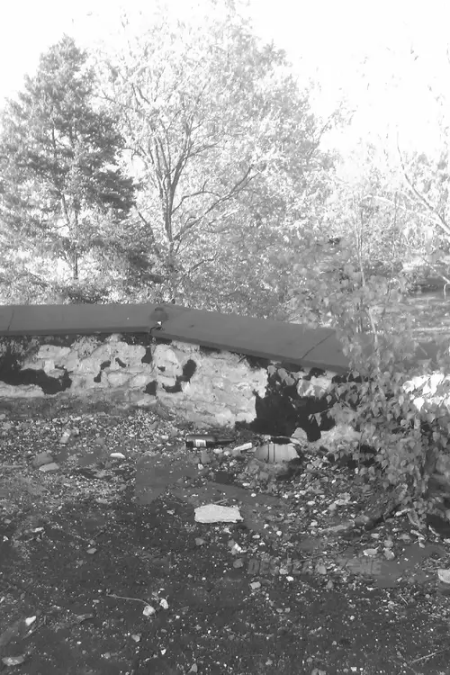 Tor wyścigów konnych, Łódź - photo 8/197
