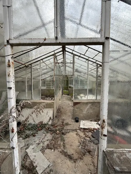 Opuszczone szklarnie