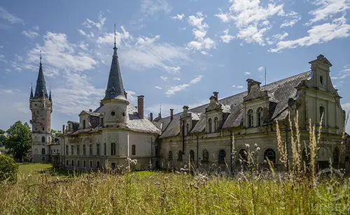 Pałac rodu von Magnis , Bożków - photo 51/59